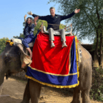 Tourists enjoying a traditional elephant ride experience in India, seated on a decorated elephant in a natural heritage setting.