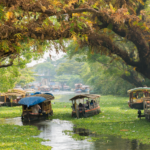 Goan backwater canal lined with tropical trees and traditional wooden boats