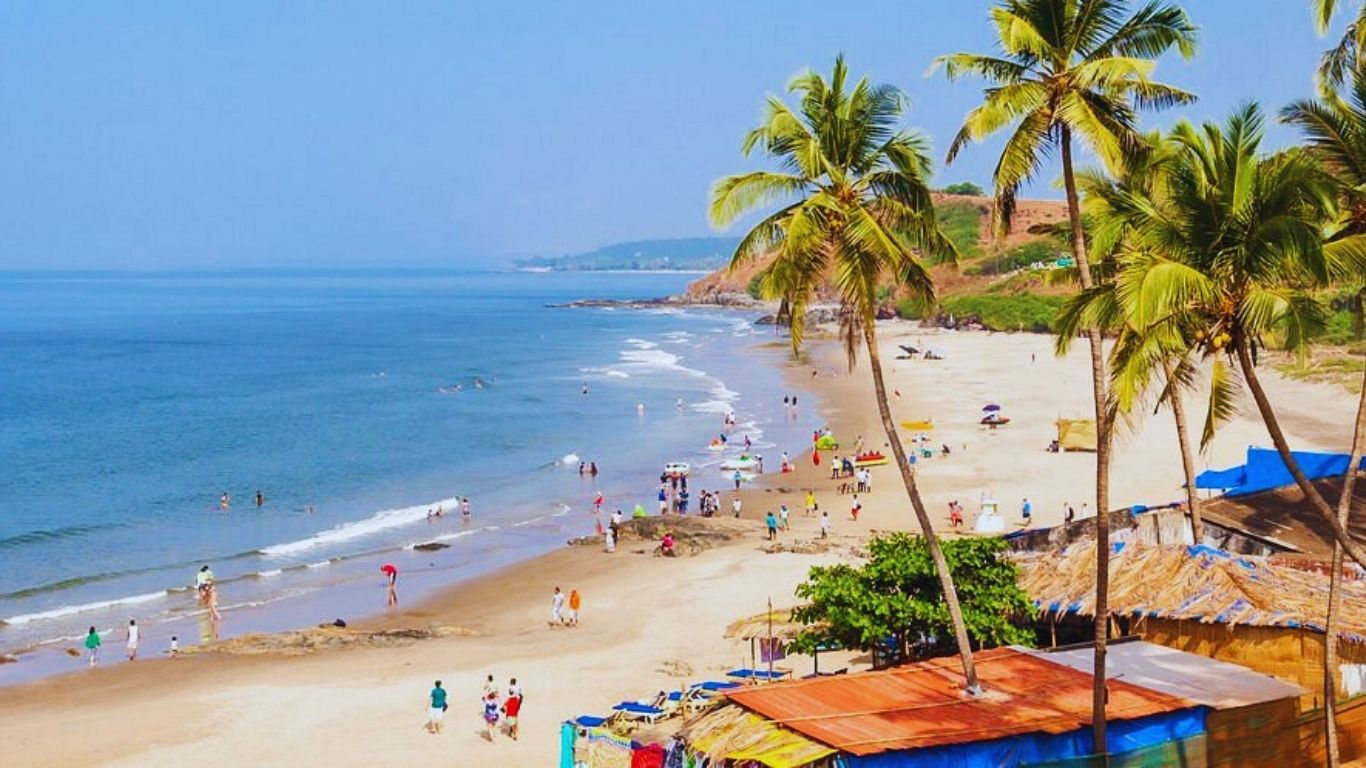Palm-lined Candolim Beach Goa with clear blue water and sandy shoreline