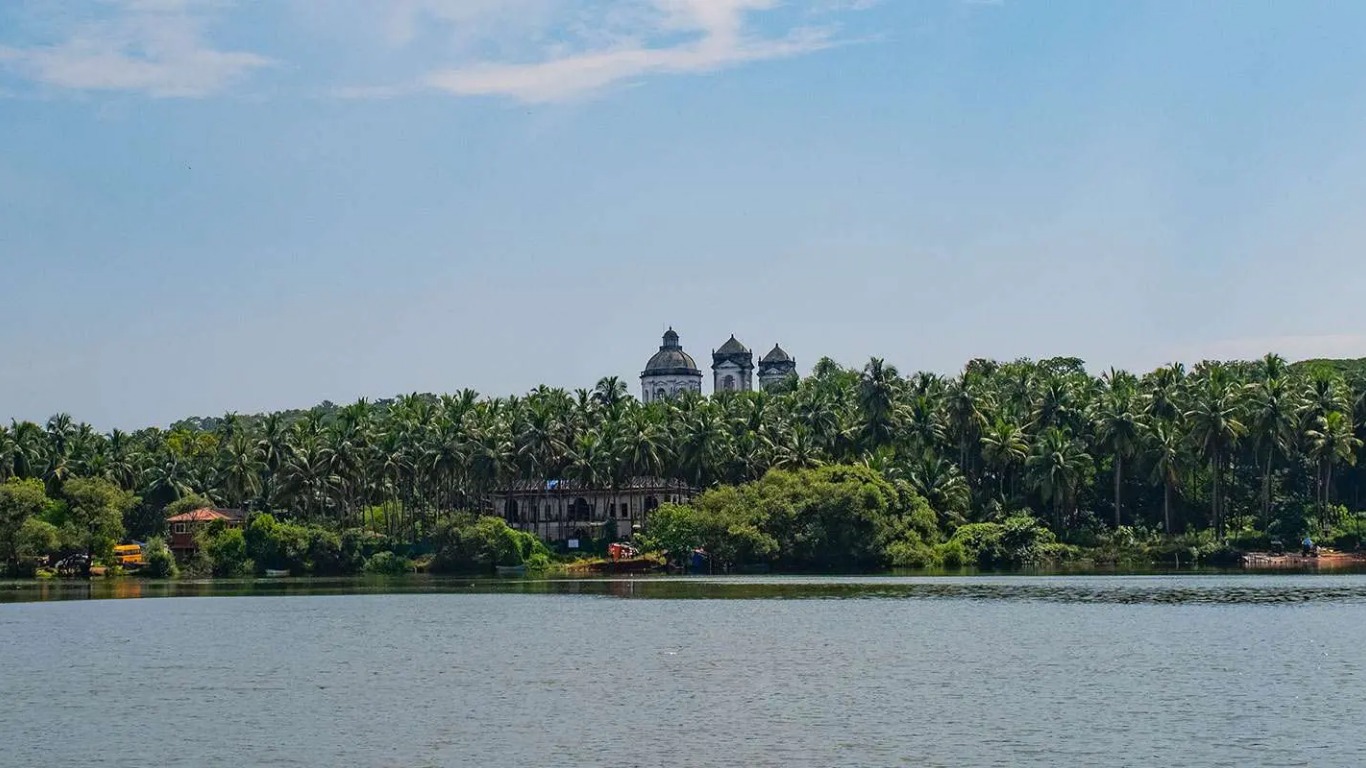 Scenic Goa backwaters with palm trees and river view